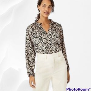 Ann Taylor ● Heart Shirred Raglan Sleeve Blouse